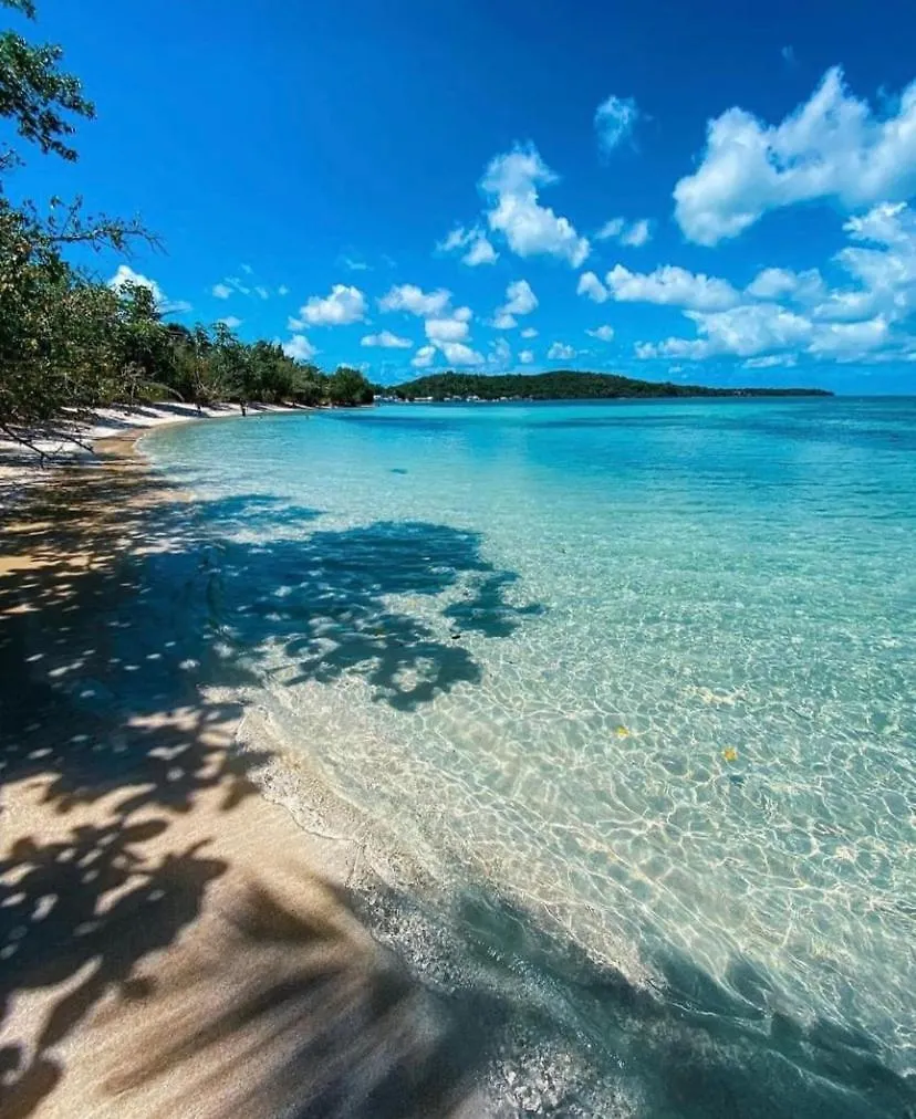 Hotel Buye Campers Cabo Rojo
